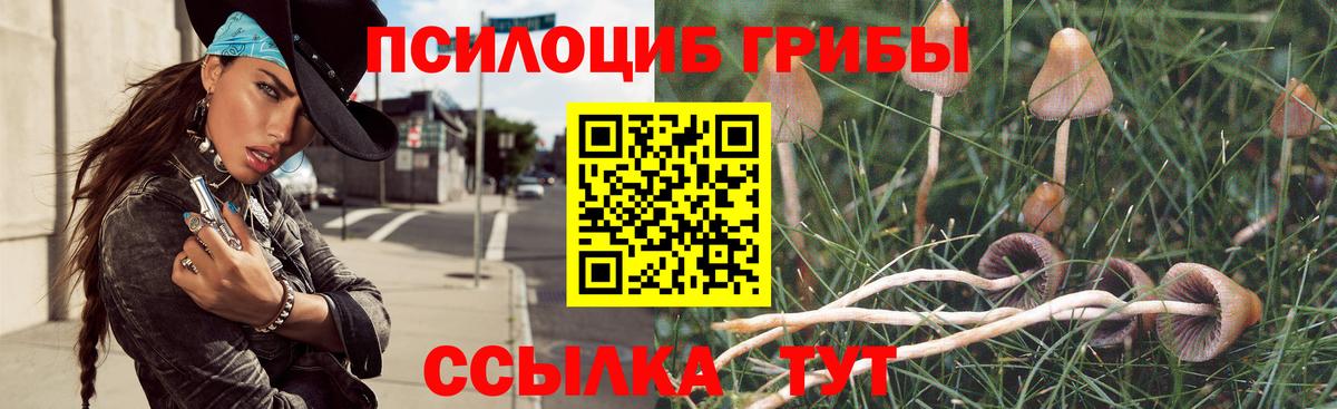Галлюциногенные грибы ЛСД Новочебоксарск