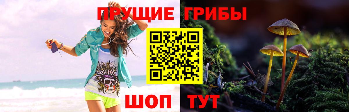 Новочебоксарск  Галлюциногенные грибы Magic Shrooms  Вход с VPN 